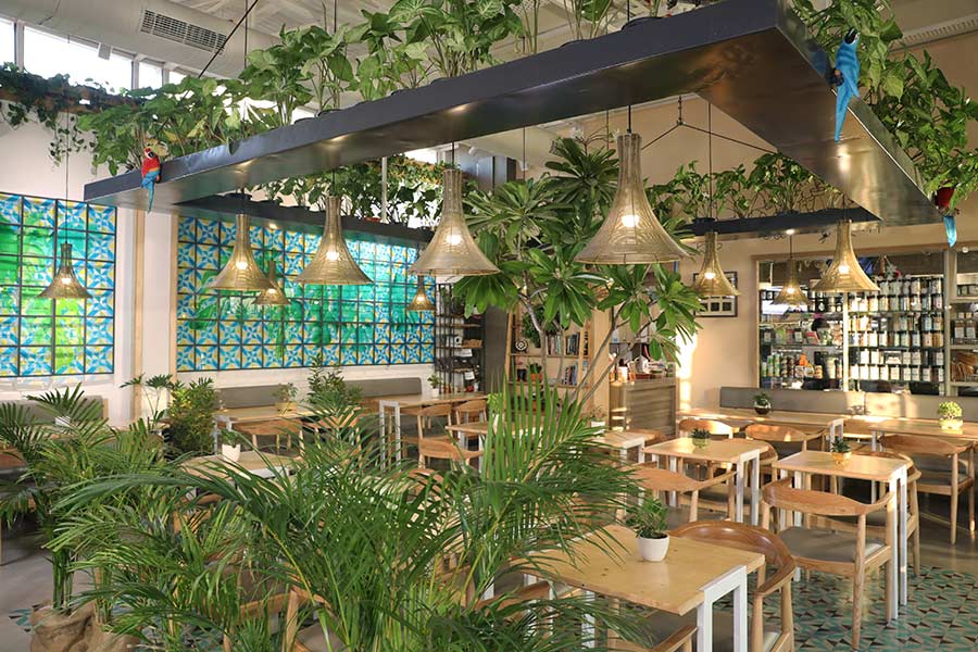 My GO TO CAFE IN NOIDA - ALMA BAKERY & CAFE