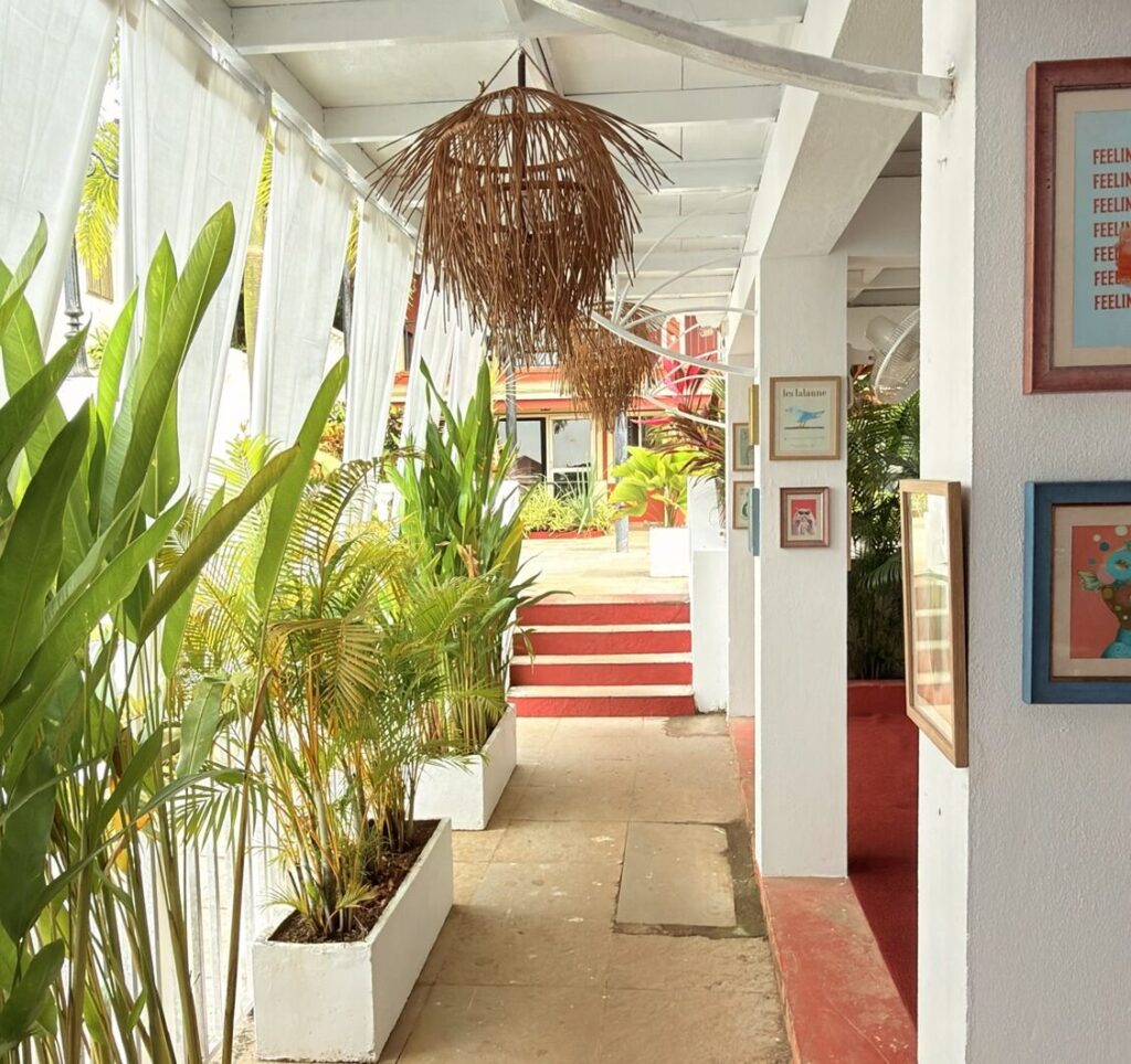 sunset, goa cafe, colina bar